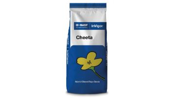 InVigor®-Cheeta 